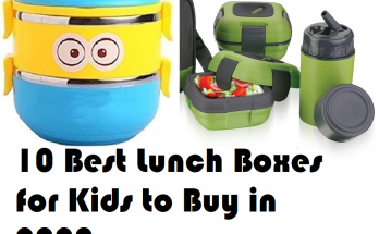 10 Best Lunch Boxes for Kids to Buy in 2020