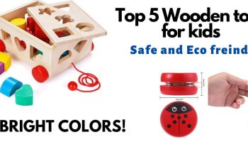 Top 5  Wooden Toys for kids – great and safe toys to consider