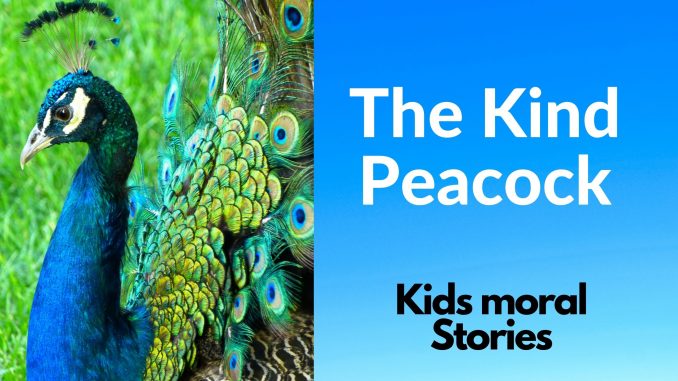 The kind peacock The kind peacock - kids moral stories
