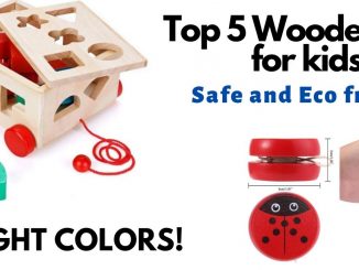 Wooden Toys for kids